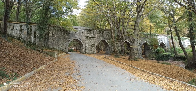 Εκεί όπου η Πόλη ανασαίνει: Μια βόλτα στο δάσος του Βελιγραδίου