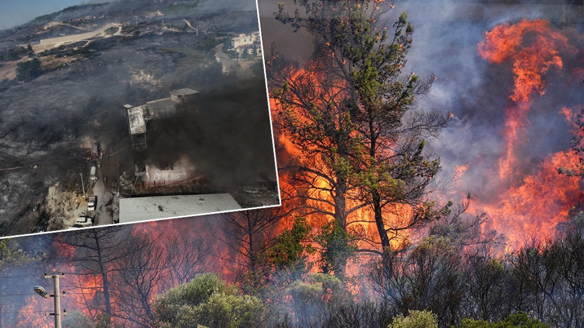 Αναζωπυρώνεται η πυρκαγιά της Σμύρνης – Στάχτη 132 σπίτια 