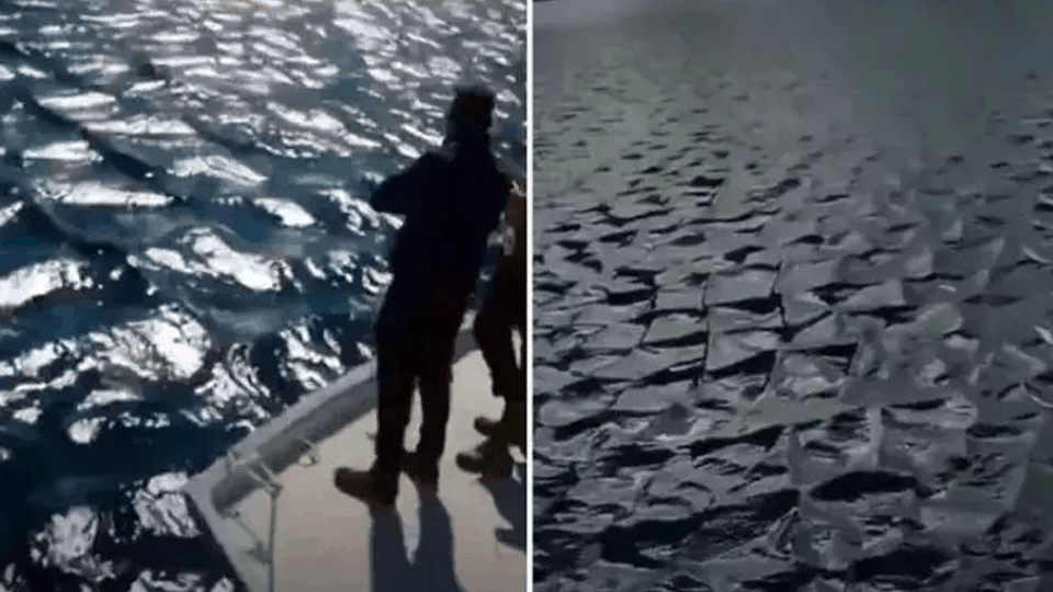 Τρομακτικές εικόνες κατέγραψαν Τούρκοι ψαράδες στο Αιγαίο 