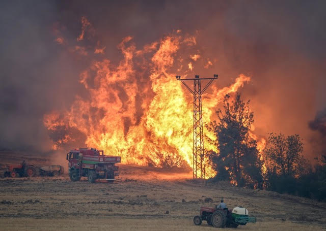 Πυρκαγιά στην Τουρκία: Από το Μπιλετζίκ οι καπνοί έφτασαν στο Εσκίσεχιρ