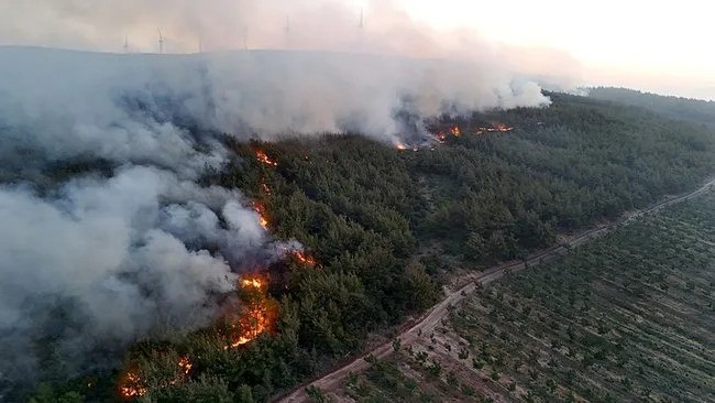 Τουρκία: Μάχη με τις φλόγες στη Ραιδεστό και τα Δαρδανέλια – Εκκενώθηκαν χωριά